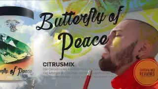 Crystal Smoke - Butterfly of Peace || SHISHARISTIC|| Shisha M&uuml;