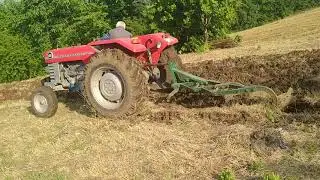 Massey Ferguson 165 Köyde hayat 4 pulluk ile tarla sürüldü Massey Ferguson 165 güçlü traktör.