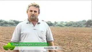Depoimento do produtor Jos&eacute; Domingos Cavazzana