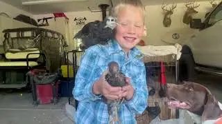 Mason rides his John Deere Gator! The Chickens Get a new play area and Jewelry!
