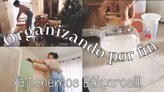 DIAS DE ORGANIZACI&Oacute;N/ CONSEGUI BULGAROS DE KEFIR/ACTIVAMOS MASA MADRE