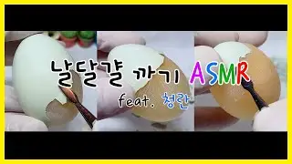 날달걀 까기 ASMR (feat. 청란) | Peeling Blue Egg ASMR