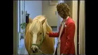 Best of Verstehen Sie Spa&szlig; - Pferd auf dem Flur mit Birgit Schrowange