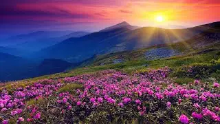 Relaxing Music Reduce stress fatigue Reduce stress Focus on studying Work