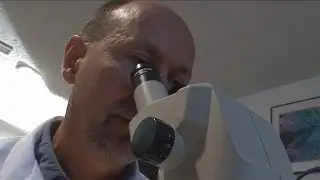 Solved: Extreme Forensics - Forensic Fact #8