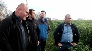 Řepka s pomocnou plodinou. Demonstrační farma MZe Statek Bureš , s.r.o.