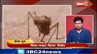 World Mosquito Day |विश्व मच्छर दिवस | Marsh Mosquitoes |Culex | Yellow Fever Mosquito | Health Guru