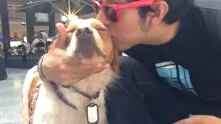 Days1to24(Slideshow): Traumatized Rescued Dog's Joy in Finding His New Loving Family