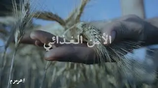 الأمن الغذائي