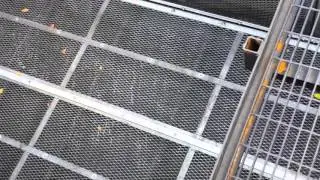 Debris Mate&reg; Container Filter