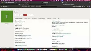 Acesso console Linux na OCI via cloud shell.