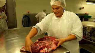 Careers in the New Zealand Food Industry, Food Safety, Meat Industry 2