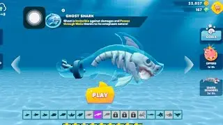 GHOST SHARK UNLOCK NEW GAMEPLAY#hungryshark #sharkevolution #gaming