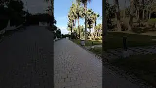 توصيل الطلبات العمل الحر #chakiblb #casablanca #العمل_الحر #motovlog