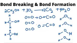 Bond Breaking and Bond Formation (General Chemistry)