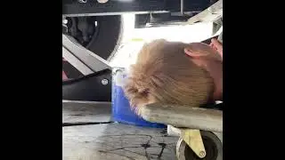 Kid changes oil in car