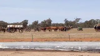 All the teams gathered for a lineup. Barellan 2025