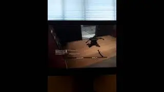 Call Of Duty Black Op 2 Death By EMP Grenade