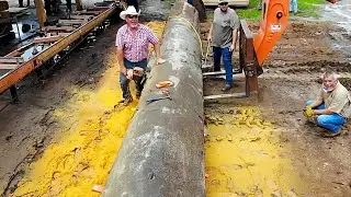 38 Foot Long! EPIC Sinker Cypress Logs Pulled From The River Bottom