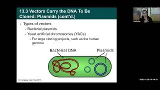 Bio134: Ch.13: Intro to Genetic Technology