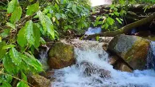 Flowing River Focus &bull; 1 Hour &bull; Natural Water Ambience for Study, Work, and Clear Thinking 4K