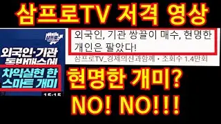 삼프로TV 저격 스마트 개미? 아....이건 좀....아닌데...