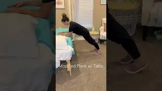 Modified Plank on Table | The Mama Clinic #pelvicphysicaltherapy #plank #core