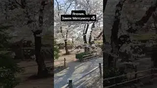 Япония.Замок Матсумото ч5 #токио #япония #япония_влог #обзор #эталонотдых
