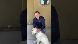 Petco Video 2- Mike Nuzzo