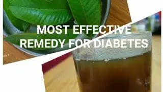 Most effective remedy for diabetes - guava leaves