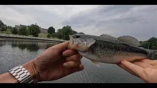 Fishing at Roosevelt Park in Edison, New Jersey - quick lunch break