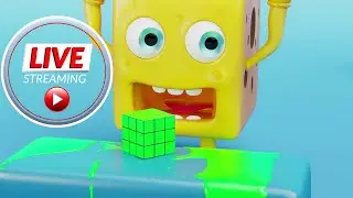 Cheesy Adventures in Live