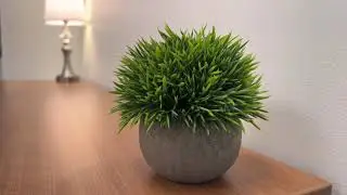 Front Range Co-Working Tour - 7222 Commerce Center Drive, Suite #220, Colorado Springs, CO 80919