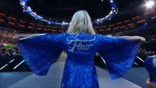 WWE Hell in a Cell 2017 theme song 
