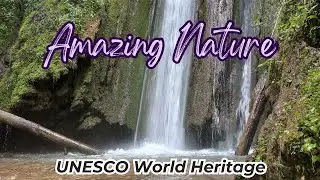 Soothing Nature Sounds for Relaxing, Mountain Waterfall Sounds, UNESCO World Heritage Site