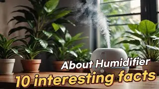 10 Interesting Facts About Humidifier | Real Facts | Amazing Facts |