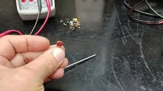 A primera pérola de 2026
