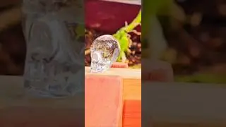 Artifact Le Skull