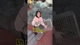 Lồng bẫy chuột bẫy th&uacute; đủ k&iacute;ch thước