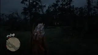 Getting attack by the night folk in RDR2
