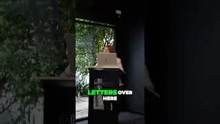 Workplace harassment show cause letter
