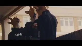 Dj Absurd X Doni Rampage  - Animal Mode (Official Video)