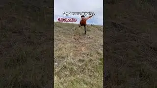 Какое видео было самым безумным? #Змеи #рептилии #животные #герпетология #смешно #герпетология #ж...
