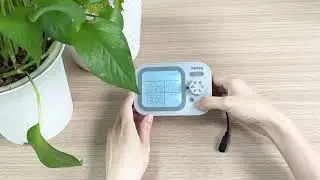 How to set watering schedule of Beday plant watering system?