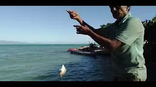 December 19,  daddy irie from jamaica cashing fish2025