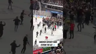 Swedish Hockey fans storm the ice after their team gets promoted back into the top division 🇸🇪
