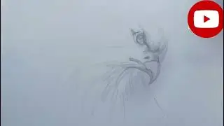 Basic  Eagle drawing 🖌️