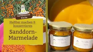Vitamine für den Winter: Sanddorn Marmelade selber machen