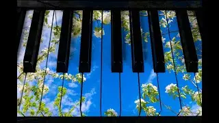 Song Sung Blue - Neil Diamond song