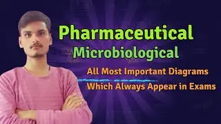 Pharmaceutical Microbiology Important Diagrams | 100% Exam Questions ll